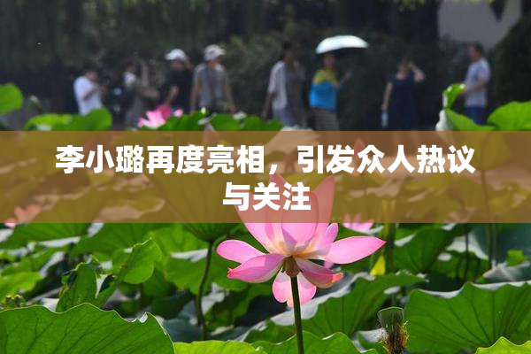 李小璐再度亮相，引发众人热议与关注