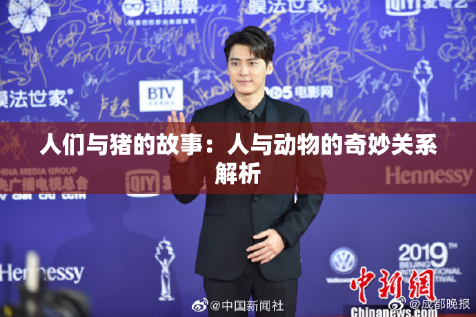 人们与猪的故事：人与动物的奇妙关系解析