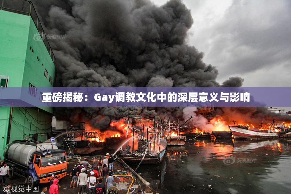 重磅揭秘：Gay调教文化中的深层意义与影响
