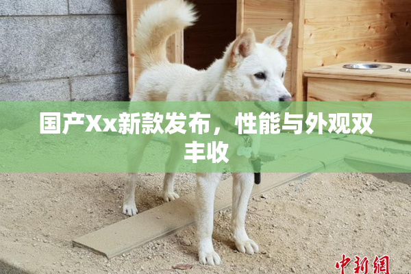 国产Xx新款发布，性能与外观双丰收