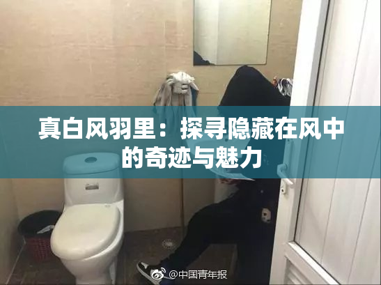 真白风羽里：探寻隐藏在风中的奇迹与魅力