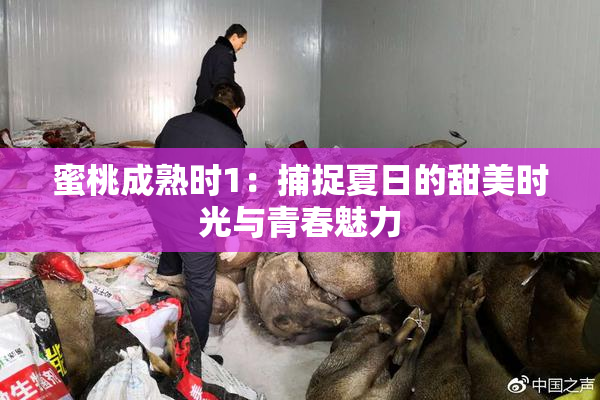 蜜桃成熟时1：捕捉夏日的甜美时光与青春魅力