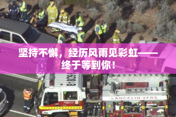 坚持不懈，经历风雨见彩虹——终于等到你！