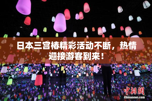 日本三宫椿精彩活动不断，热情迎接游客到来！