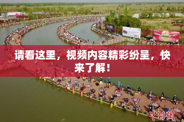 请看这里，视频内容精彩纷呈，快来了解！