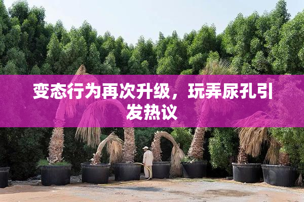 变态行为再次升级，玩弄尿孔引发热议