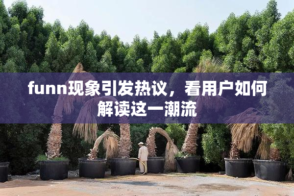 funn现象引发热议，看用户如何解读这一潮流