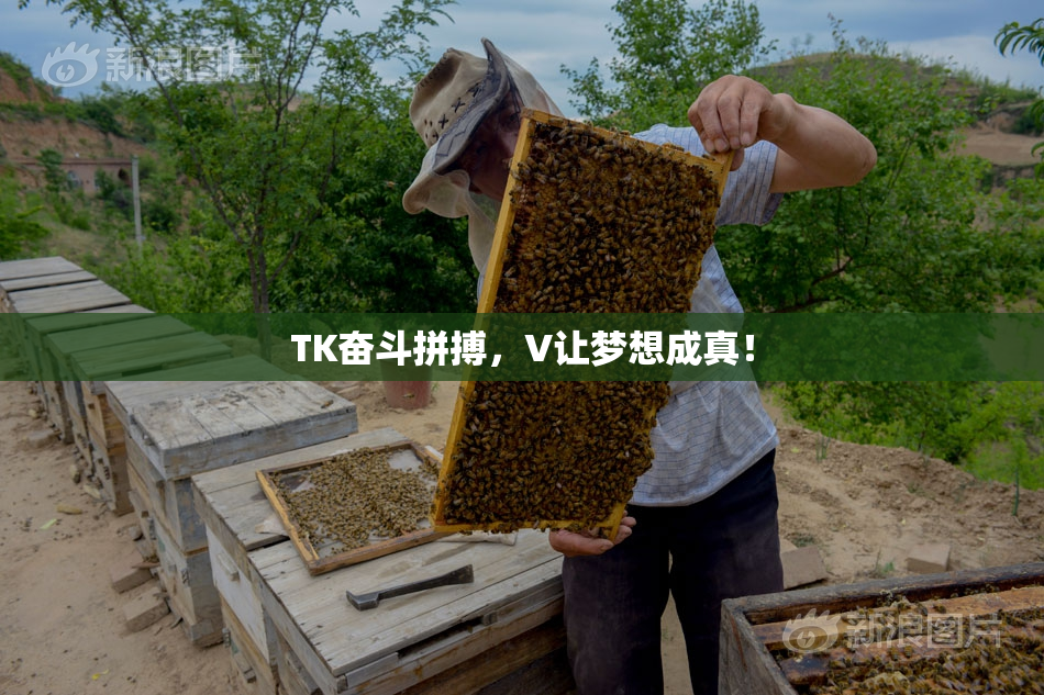 TK奋斗拼搏，V让梦想成真！