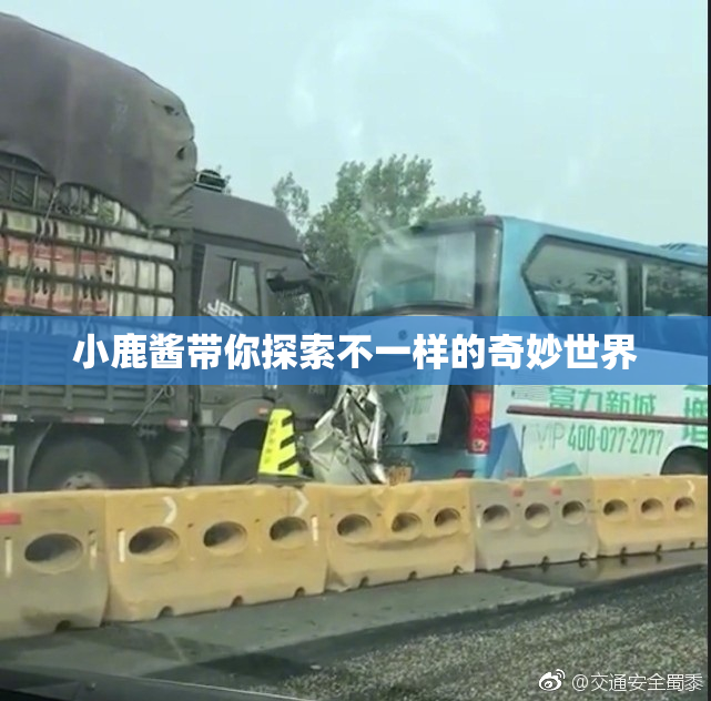 小鹿酱带你探索不一样的奇妙世界