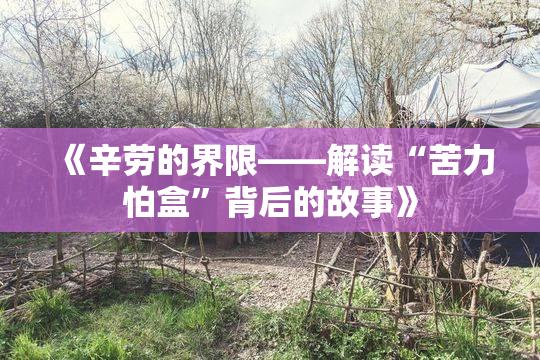 《辛劳的界限——解读“苦力怕盒”背后的故事》