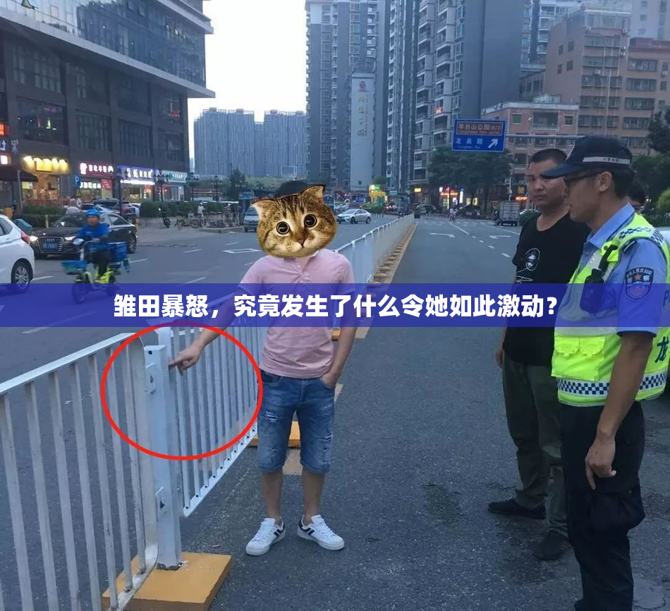 雏田暴怒，究竟发生了什么令她如此激动？