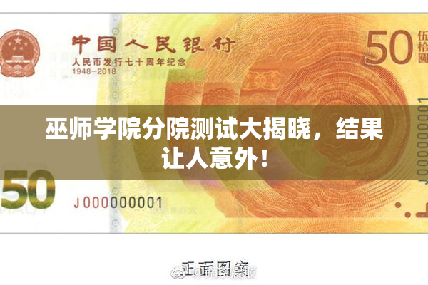 巫师学院分院测试大揭晓，结果让人意外！