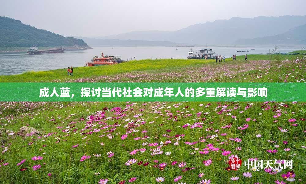 成人蓝，探讨当代社会对成年人的多重解读与影响