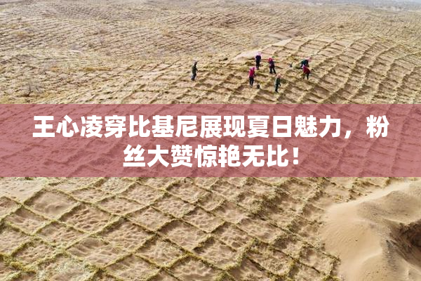 王心凌穿比基尼展现夏日魅力，粉丝大赞惊艳无比！