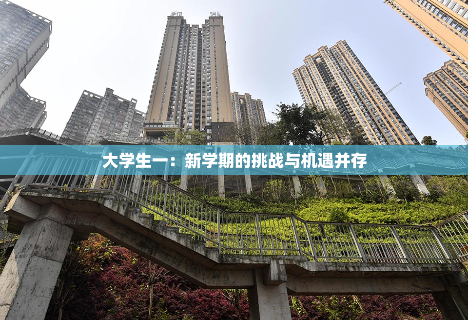 大学生一：新学期的挑战与机遇并存