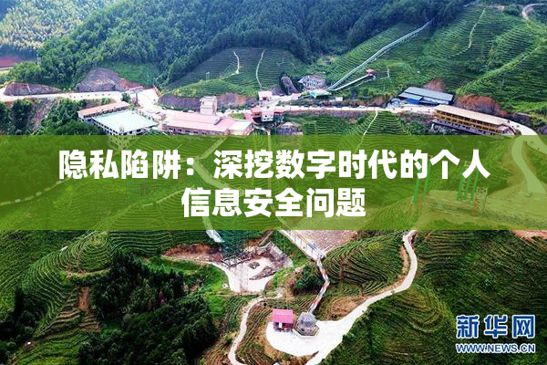 隐私陷阱：深挖数字时代的个人信息安全问题