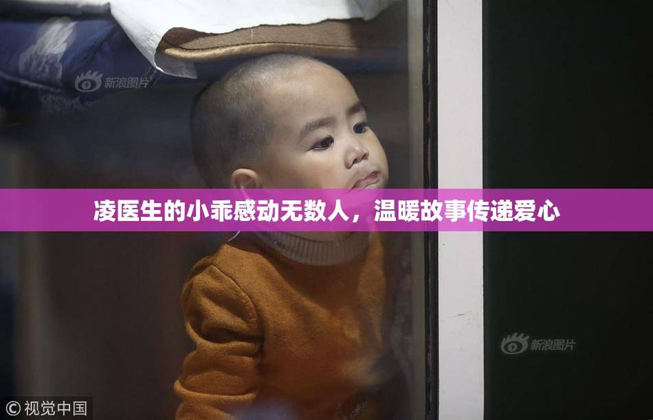 凌医生的小乖感动无数人，温暖故事传递爱心