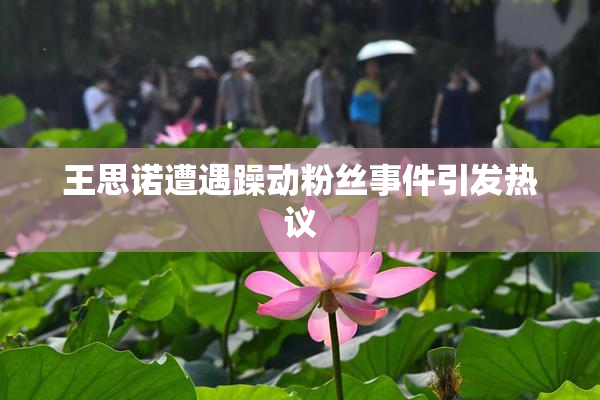 王思诺遭遇躁动粉丝事件引发热议