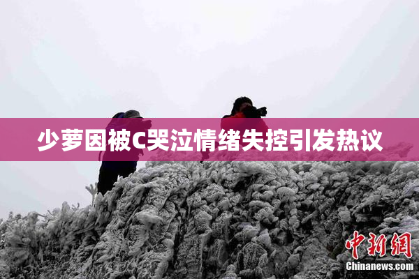 少萝因被C哭泣情绪失控引发热议