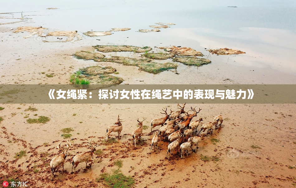 《女绳紧：探讨女性在绳艺中的表现与魅力》