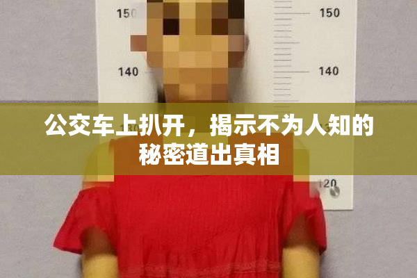 公交车上扒开，揭示不为人知的秘密道出真相