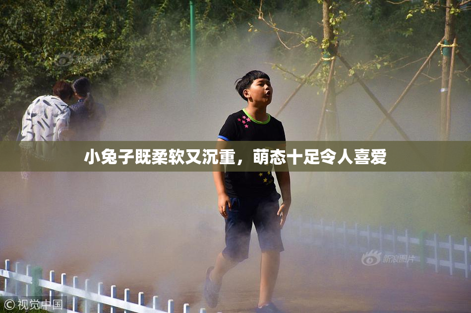 小兔子既柔软又沉重，萌态十足令人喜爱