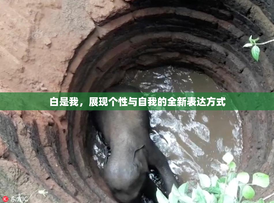 白是我，展现个性与自我的全新表达方式