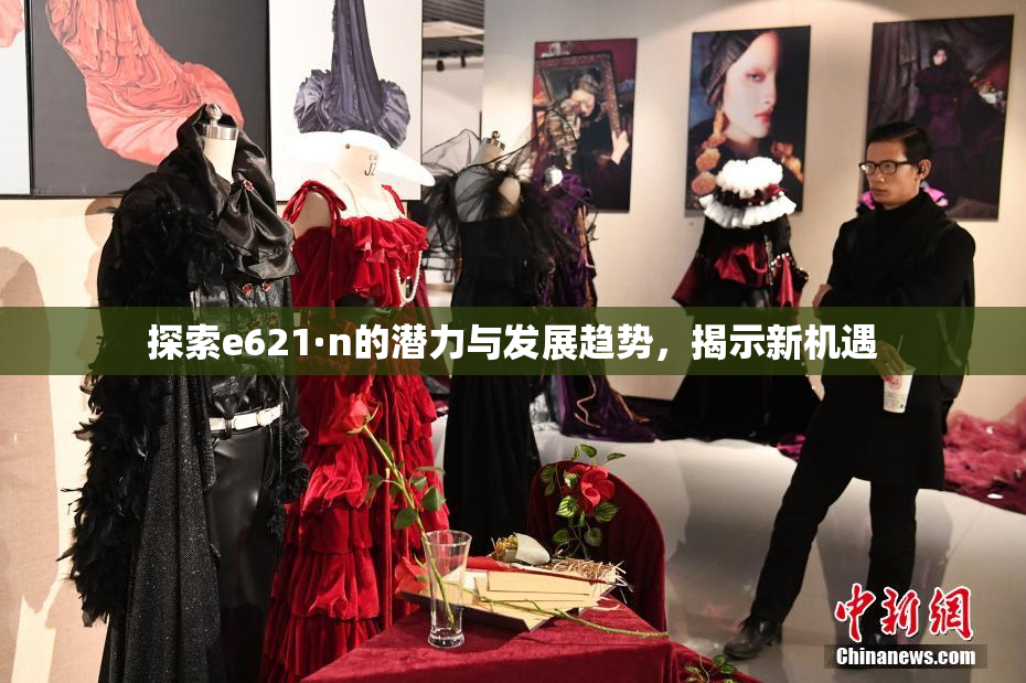 探索e621·n的潜力与发展趋势，揭示新机遇