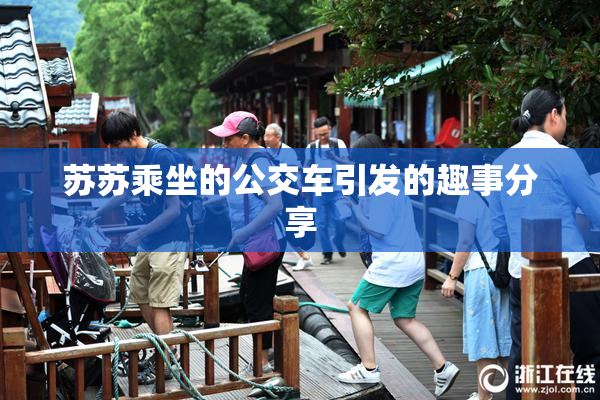 苏苏乘坐的公交车引发的趣事分享