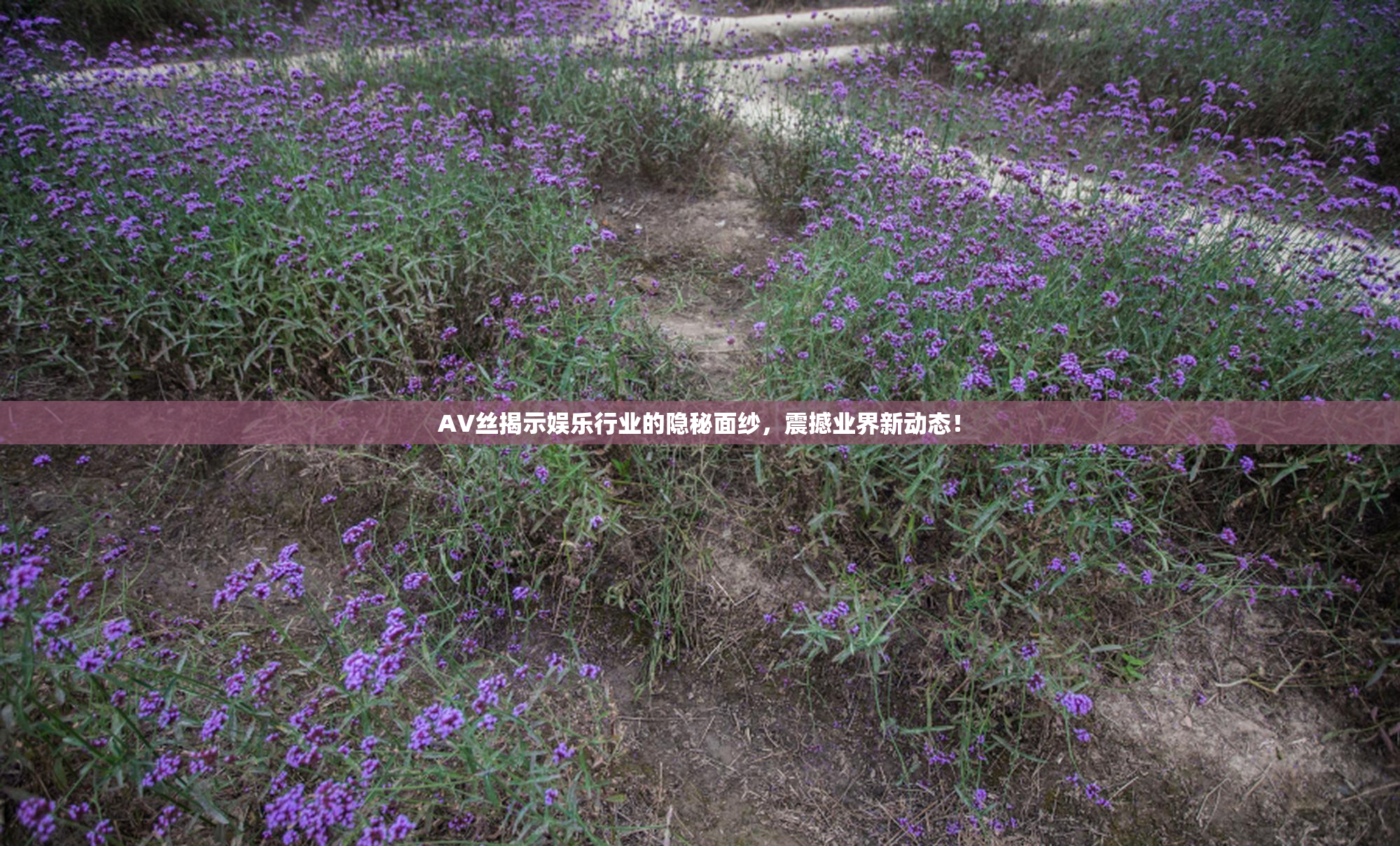 AV丝揭示娱乐行业的隐秘面纱，震撼业界新动态！