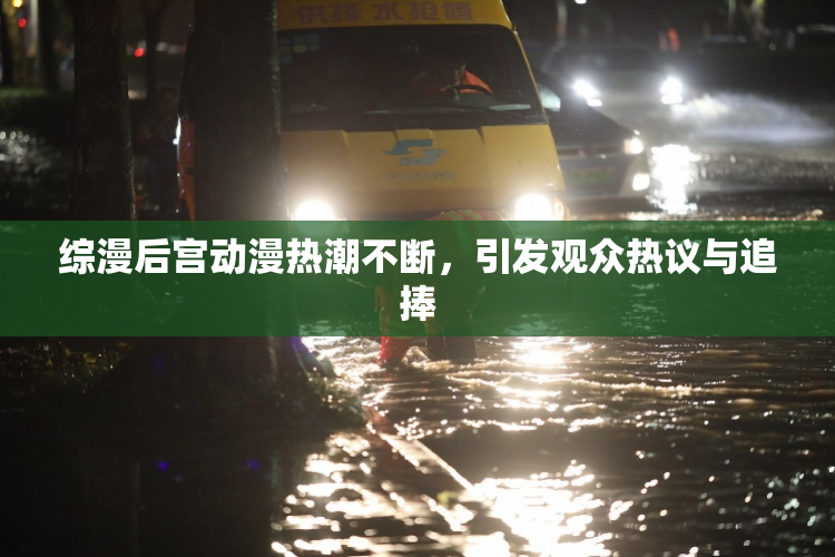 综漫后宫动漫热潮不断，引发观众热议与追捧
