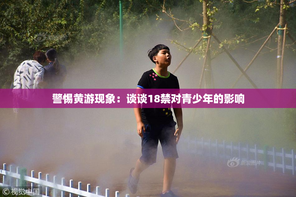 警惕黄游现象：谈谈18禁对青少年的影响