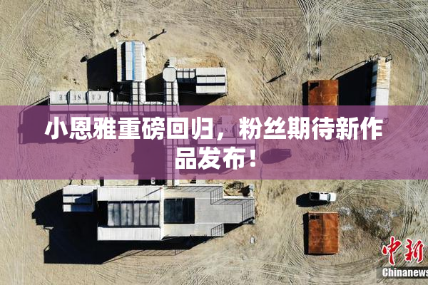 小恩雅重磅回归，粉丝期待新作品发布！