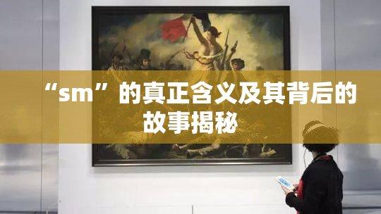 “sm”的真正含义及其背后的故事揭秘