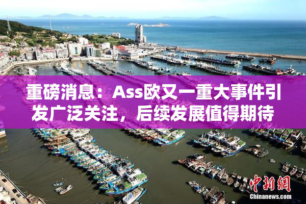 重磅消息：Ass欧又一重大事件引发广泛关注，后续发展值得期待！