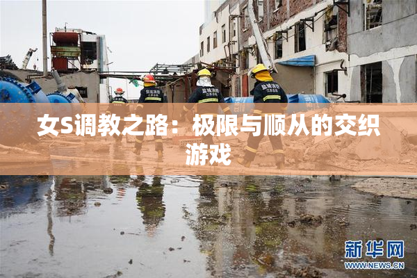 女S调教之路：极限与顺从的交织游戏