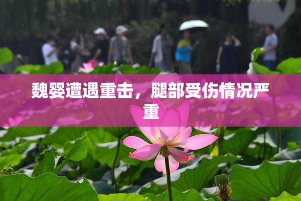 魏婴遭遇重击，腿部受伤情况严重