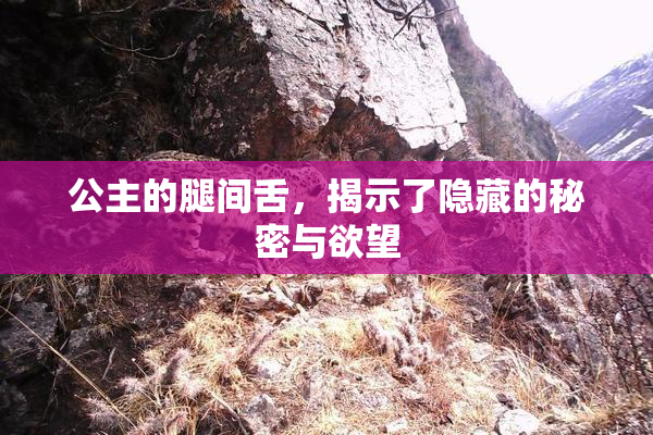 公主的腿间舌，揭示了隐藏的秘密与欲望