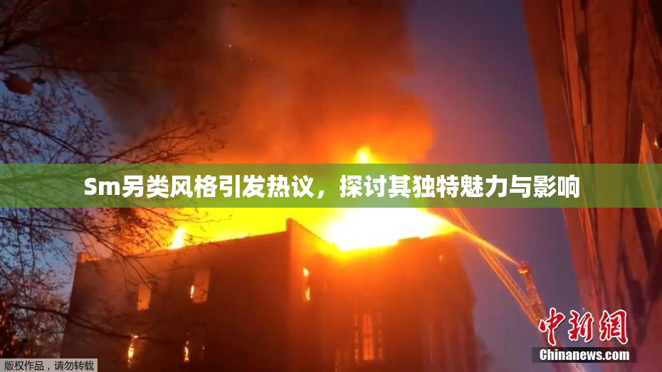 Sm另类风格引发热议，探讨其独特魅力与影响