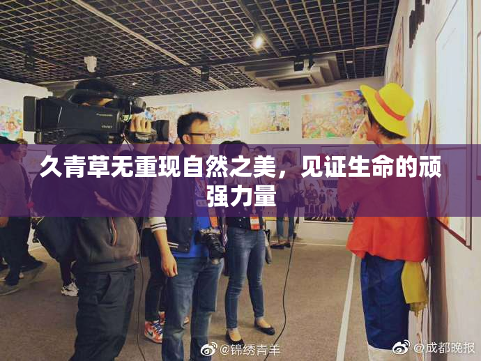 久青草无重现自然之美，见证生命的顽强力量