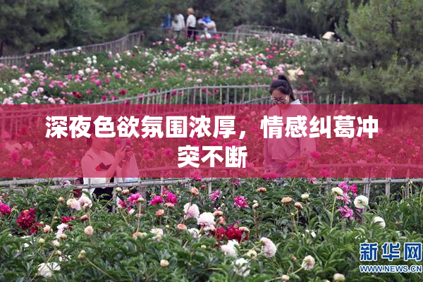 深夜色欲氛围浓厚，情感纠葛冲突不断