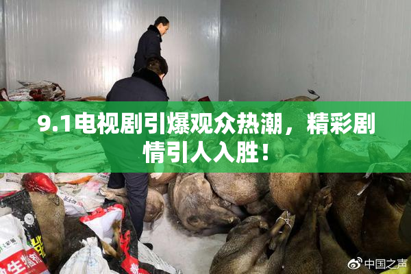 9.1电视剧引爆观众热潮，精彩剧情引人入胜！