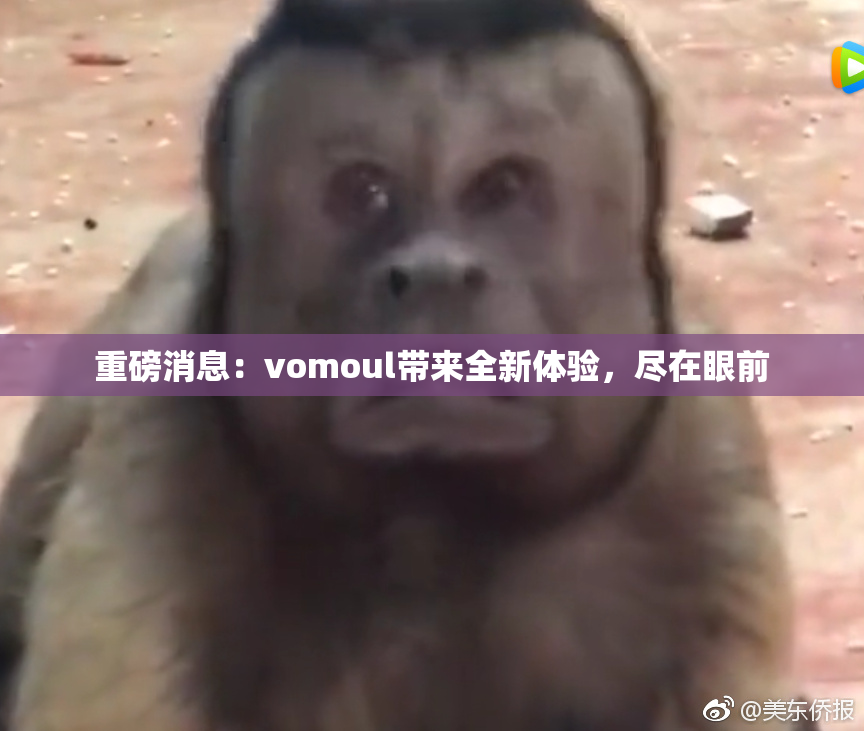 重磅消息：vomoul带来全新体验，尽在眼前