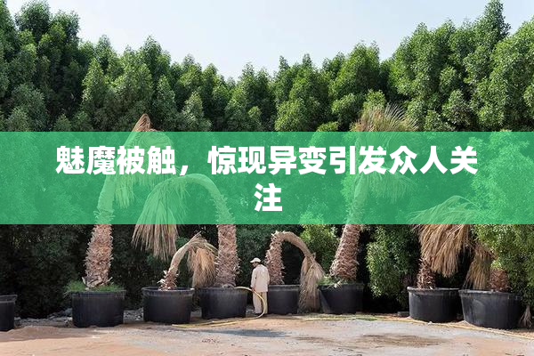 魅魔被触，惊现异变引发众人关注