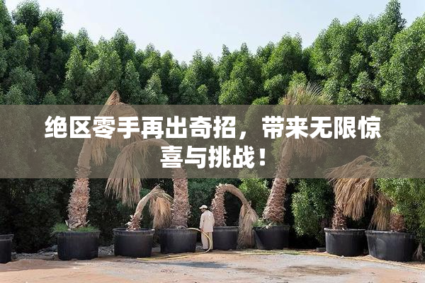 绝区零手再出奇招，带来无限惊喜与挑战！