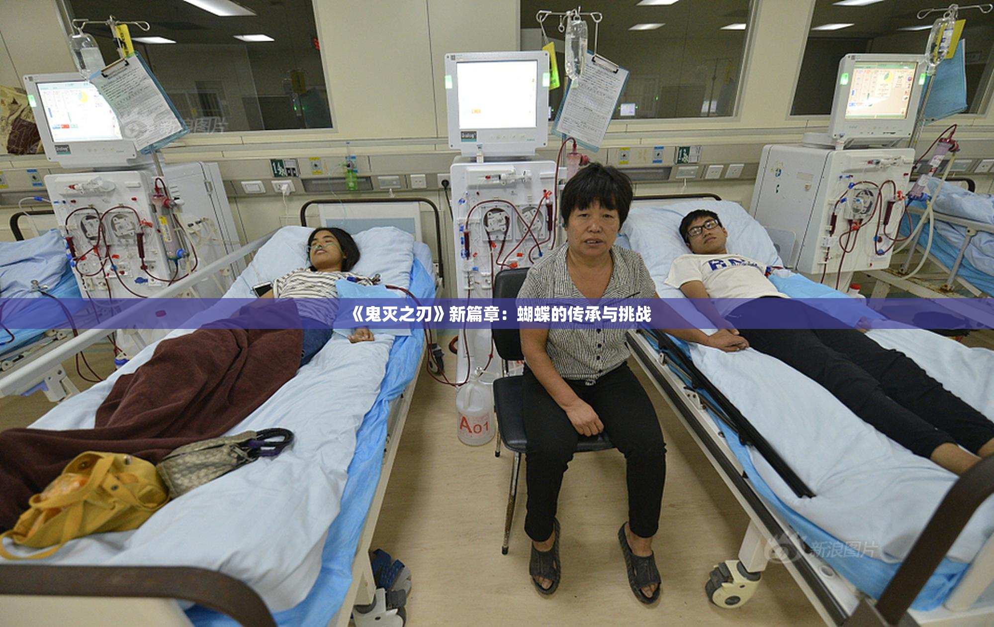 《鬼灭之刃》新篇章：蝴蝶的传承与挑战
