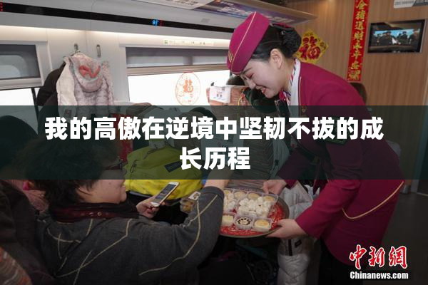我的高傲在逆境中坚韧不拔的成长历程