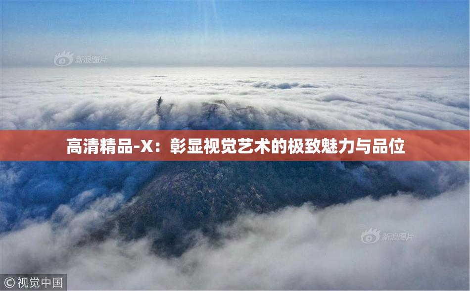 高清精品-X：彰显视觉艺术的极致魅力与品位