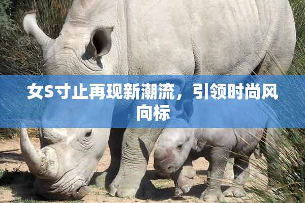 女S寸止再现新潮流，引领时尚风向标