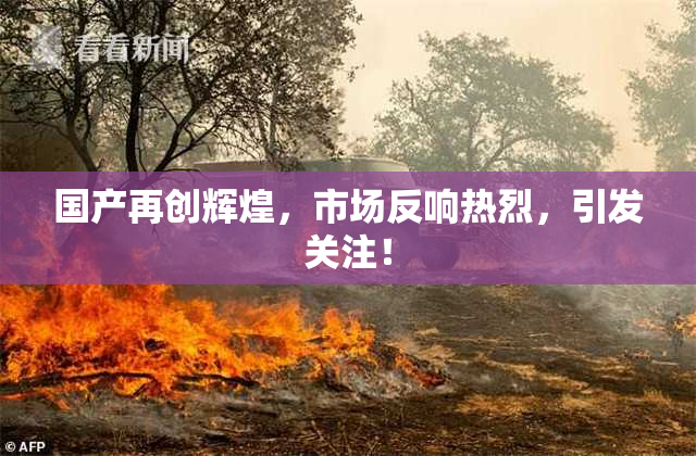 国产再创辉煌，市场反响热烈，引发关注！